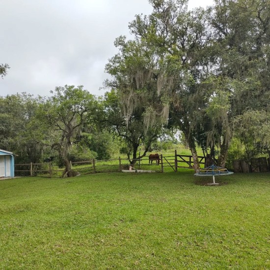 Foto da Camping e Retiro Rancho Feliz em Contenda, PR