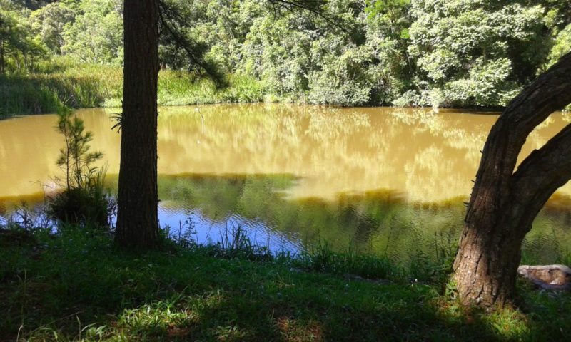 Foto da Camping Recanto Pesca Alegre em Campina Grande do Sul, PR