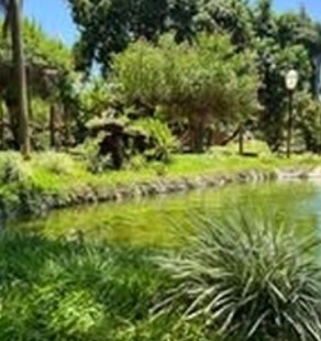 Foto da Camping Rancho J&S Vale da Benção em Cianorte, PR