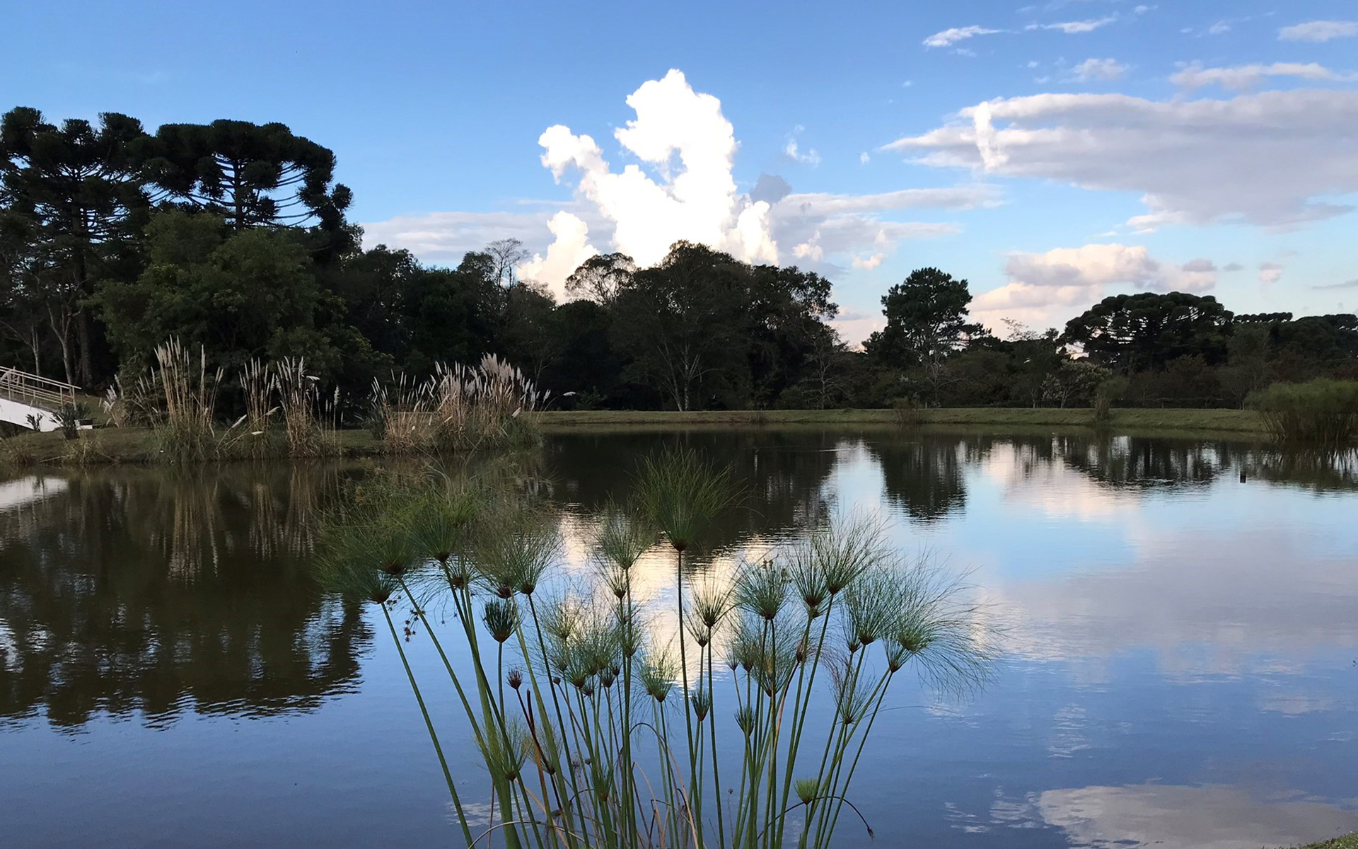 Foto da Parque Anauá em Colombo, PR