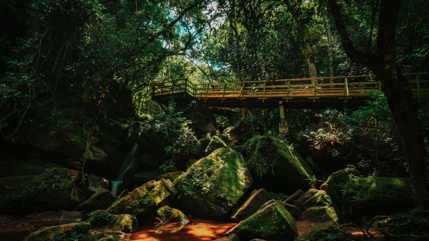 Foto da Parque de Natureza Buraco do Padre em Ponta Grossa, PR
